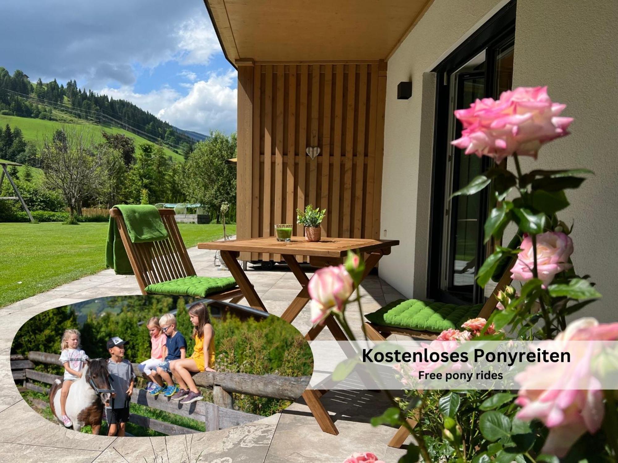 Apartments Viola Altenmarkt Altenmarkt im Pongau Extérieur photo
